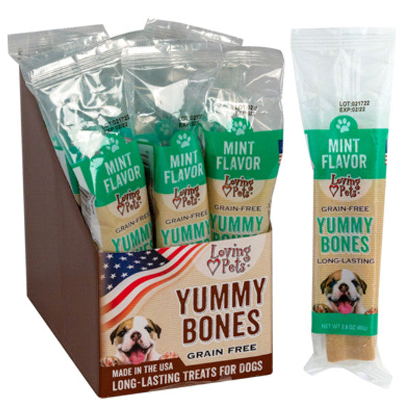 Dog Treats Mint Flavor Stick